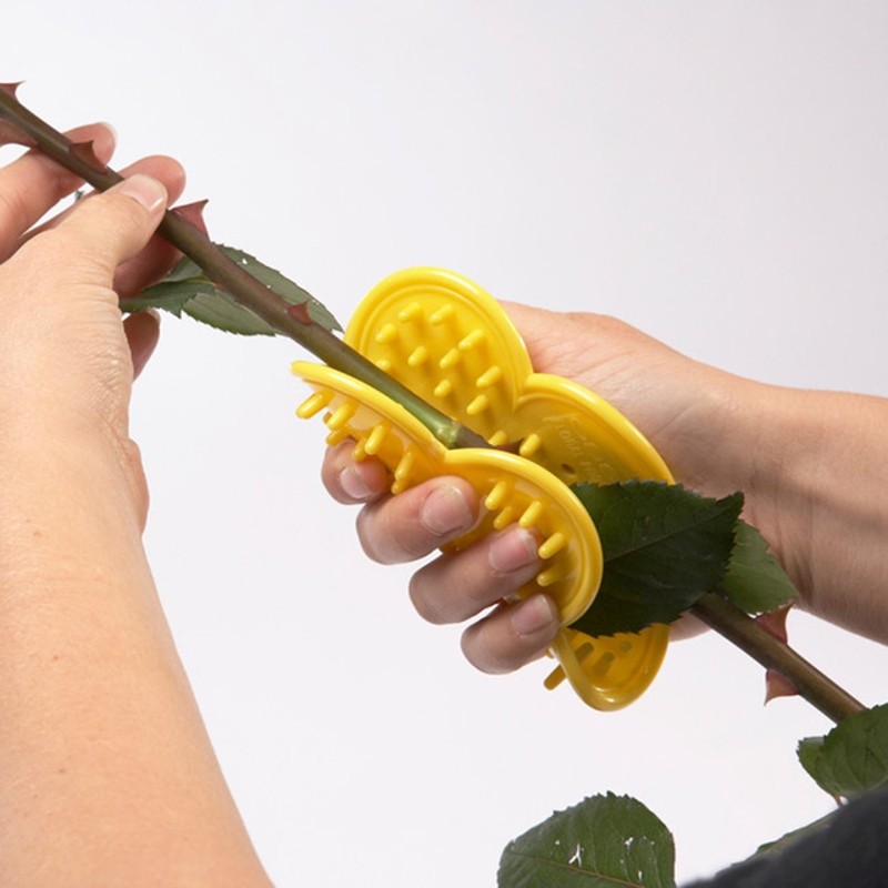 Stem Strippers – The Bloom Room